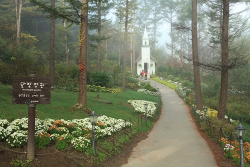 http://mail.thefestival.co.kr/upfile/img/2012/10/luck7706_1350175496.jpg