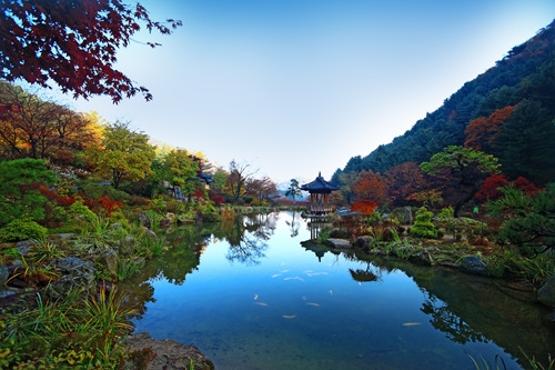 http://mail.thefestival.co.kr/upfile/img/2012/10/luck7706_1350175514.jpg