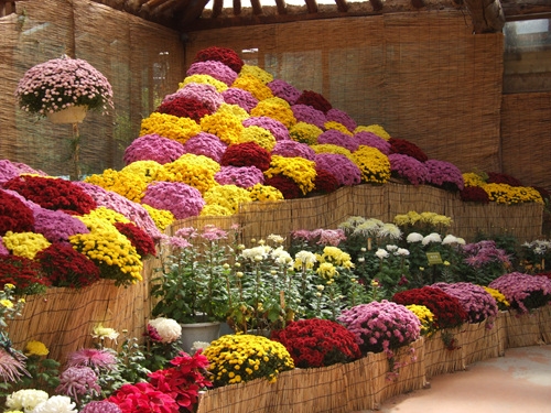 http://mail.thefestival.co.kr/upfile/img/2012/10/luck7706_1350175535.jpg