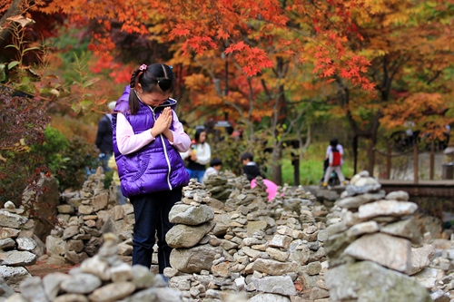 http://mail.thefestival.co.kr/upfile/img/2012/10/luck7706_1350175559.jpg