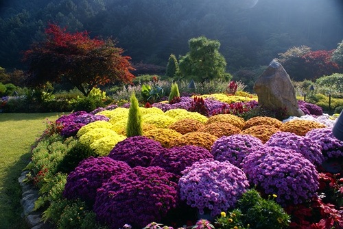 http://mail.thefestival.co.kr/upfile/img/2012/10/luck7706_1350175610.jpg