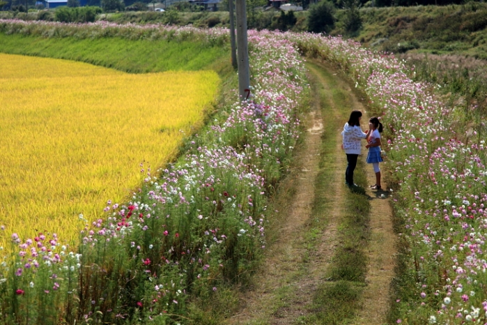 http://mail.thefestival.co.kr/upfile/img/2014/10/admin_1412607025.jpg