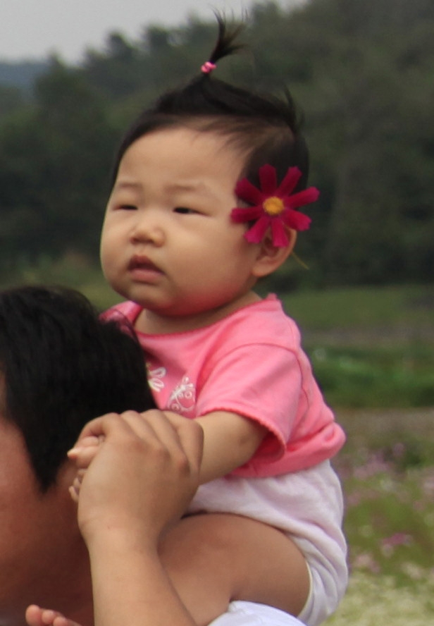 http://mail.thefestival.co.kr/upfile/img/2014/10/admin_1412607076.jpg