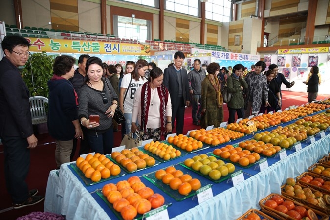 http://mail.thefestival.co.kr/upfile/img/2015/11/bling_1447865230.jpg