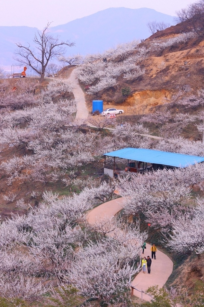 http://mail.thefestival.co.kr/upfile/img/2016/01/grgrgr_1454174927.jpg