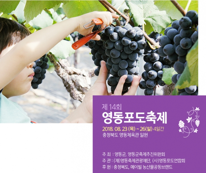 http://mail.thefestival.co.kr/upfile/img/2018/06/admin_1527865674.png