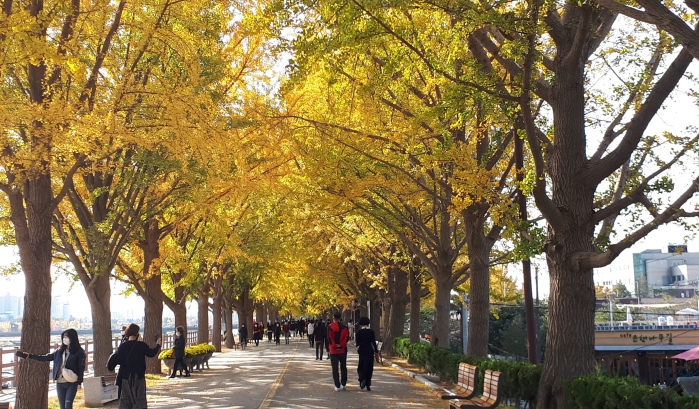 http://mail.thefestival.co.kr/upfile/img/2020/11/0ju2012_1604315989.jpg