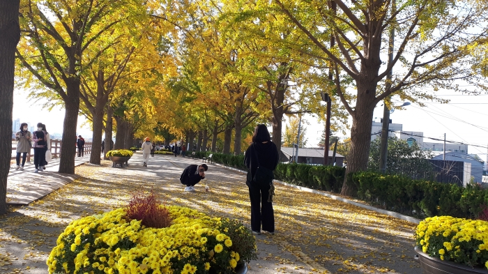 http://mail.thefestival.co.kr/upfile/img/2020/11/0ju2012_1604316292.jpg
